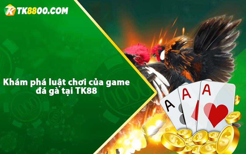 Khám phá luật chơi của game đá gà tại TK88