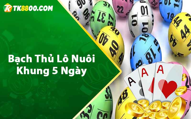 Bạch thủ lô nuôi khung 5 ngày