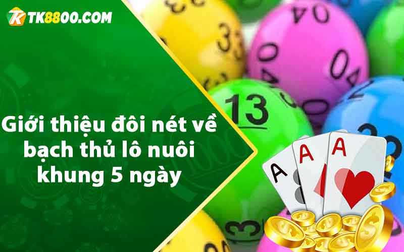 Giới thiệu đôi nét về bạch thủ lô nuôi khung 5 ngày 