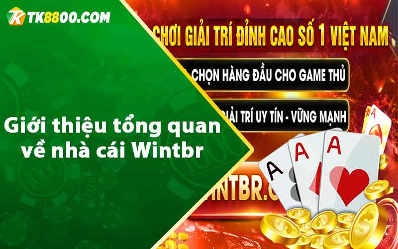 Giới thiệu tổng quan về nhà cái Wintbr  