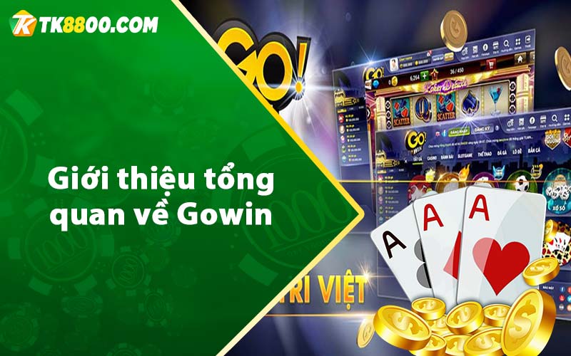 Giới thiệu tổng quan về Gowin 