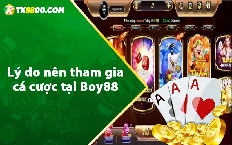 Lý do nên tham gia cá cược tại Boy88 